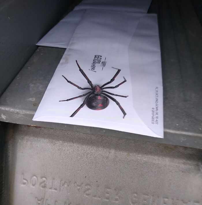 An envelope with a realistic spider image as an example of deceptive marketing techniques.