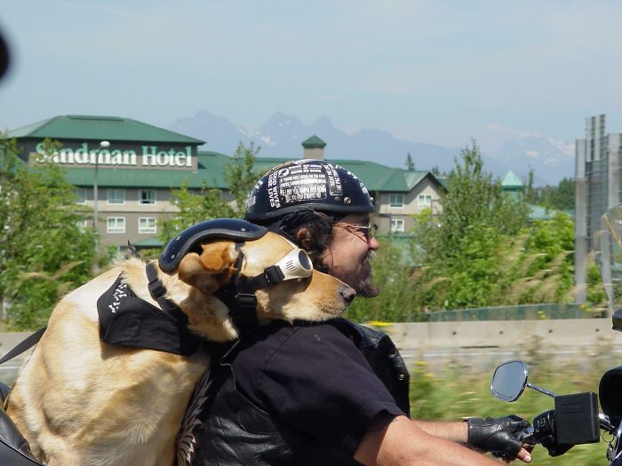 Dog wearing goggles on a motorcycle with a rider, passing a hotel; an interesting thing on the road.