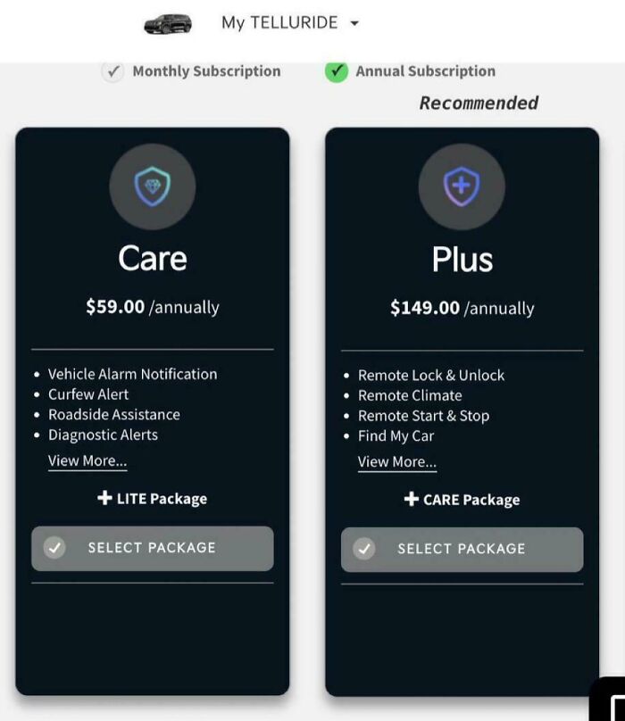 Subscription plans showing potential deceptive-marketing-techniques, featuring Care and Plus packages with various services.