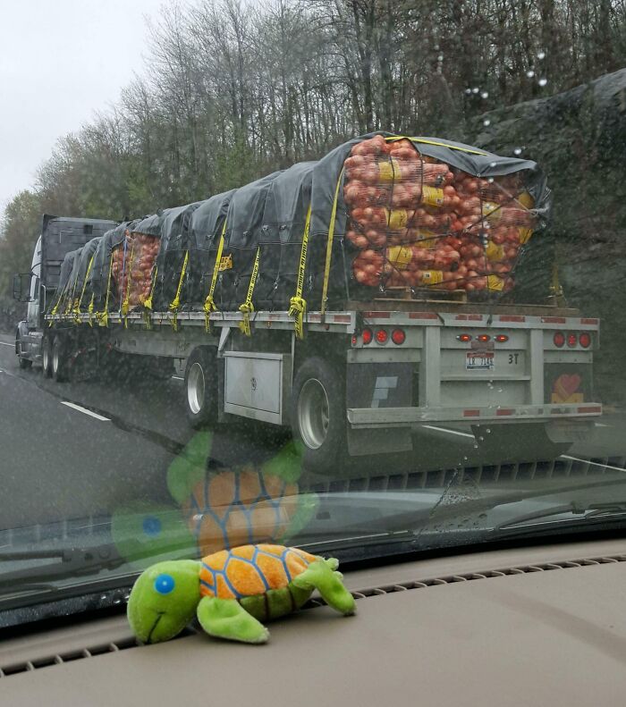 Truck on highway carrying a load of onions, seen from behind windshield with a turtle toy on the dashboard.