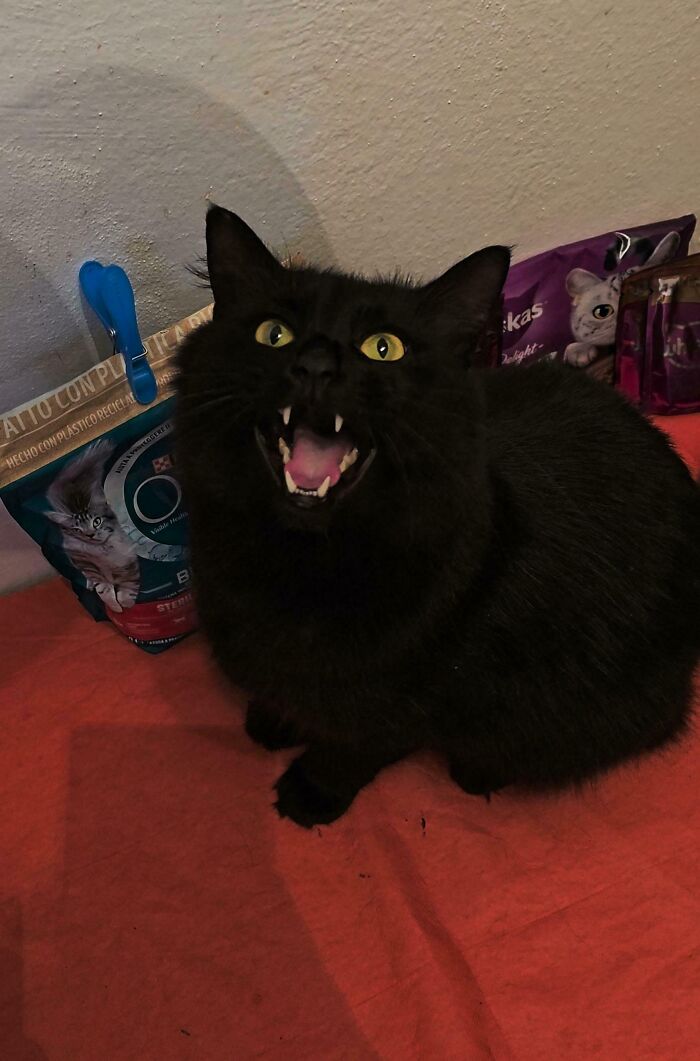 My Vampiric Void Forgot He Just Ate And Is Now Convinced That Hunger Is The Only Thing He’s Ever Known