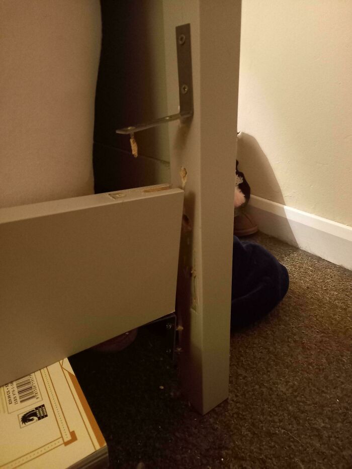 Broken furniture leg showing damage, illustrating a Christmas accident aftermath indoors.