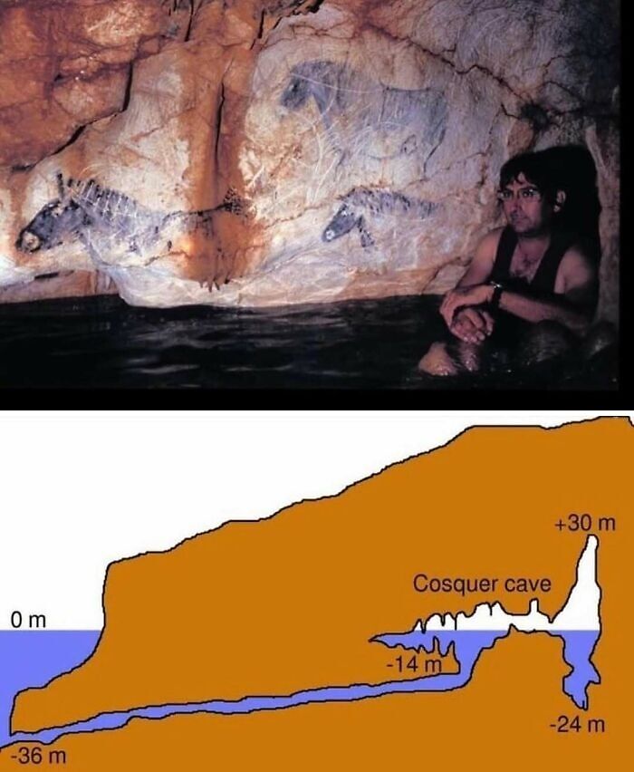 Ancient cave paintings in Cosquer Cave with diagram, showcasing interesting history pics and facts.