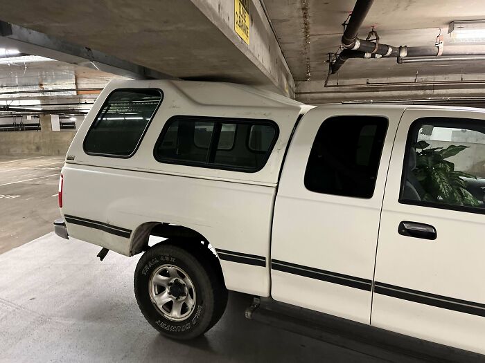 Pickup truck with camper top perfectly fitting under low parking garage ceiling.