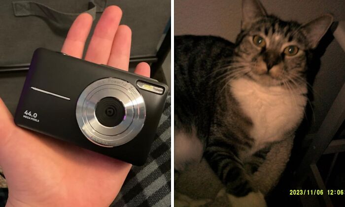 A digital camera and a cat sit together, showcasing ideal gifts for teens.