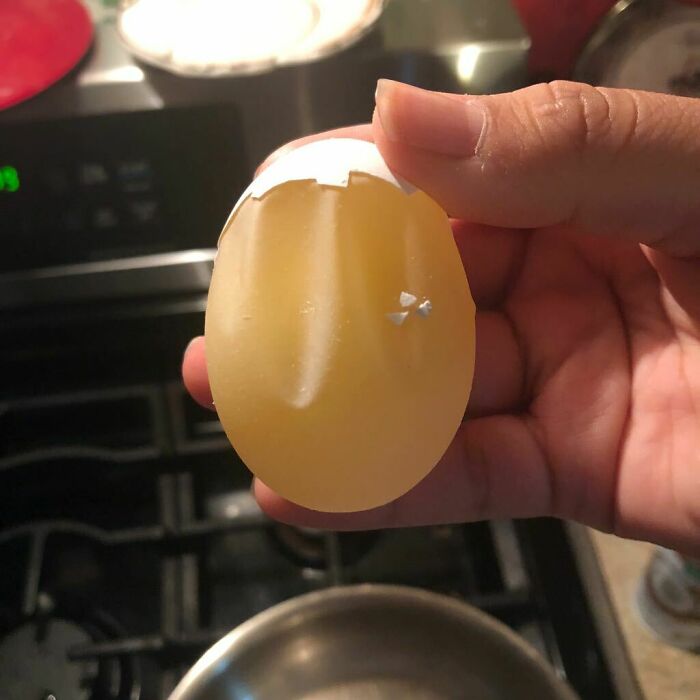 Hand holding a peeled raw egg with intact membrane, revealing a fascinating sight.