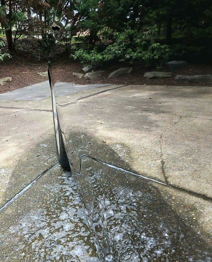 Reflection of trees and driveway in a highly polished car door, creating an unusual optical illusion.