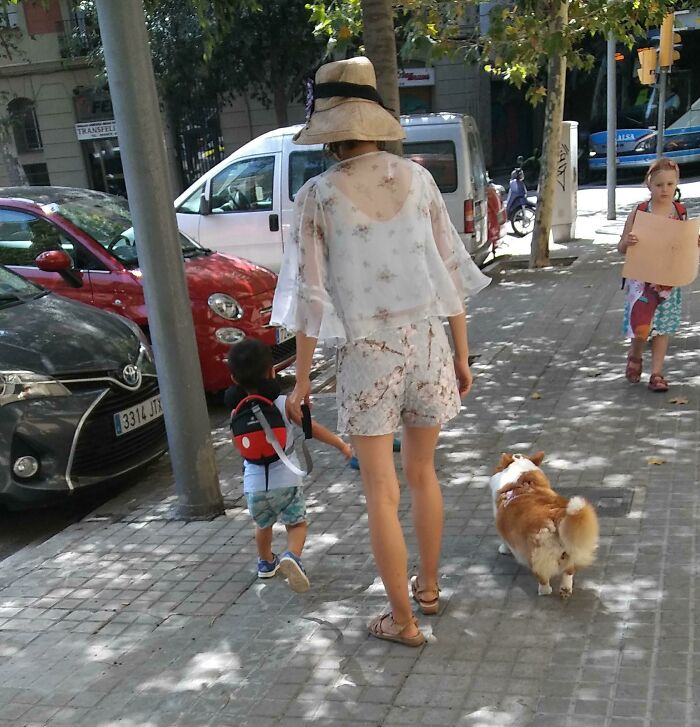 Woman walking with a child and a dog on a sunny sidewalk, creating fascinating street scene.