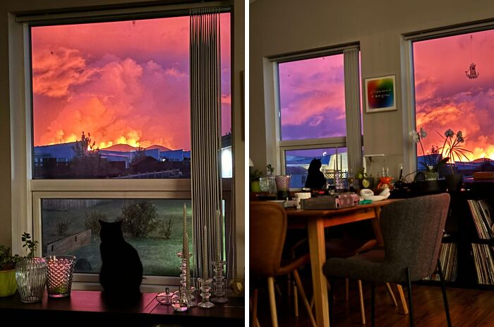 A black cat views a stunning sunset through a window, with vibrant orange and pink clouds illuminating the scene.