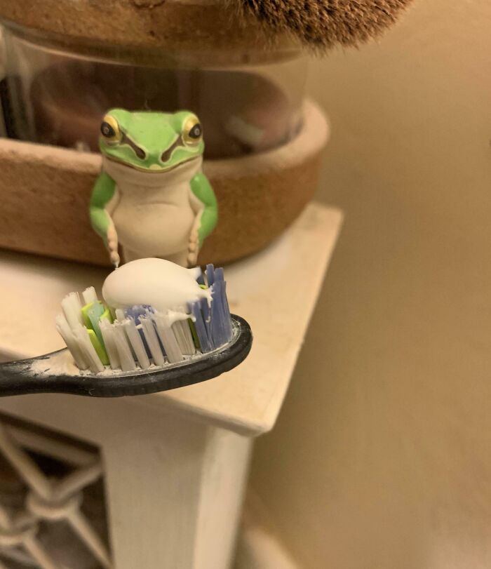 Green frog figurine near a toothbrush with toothpaste, creating a fascinating scene.