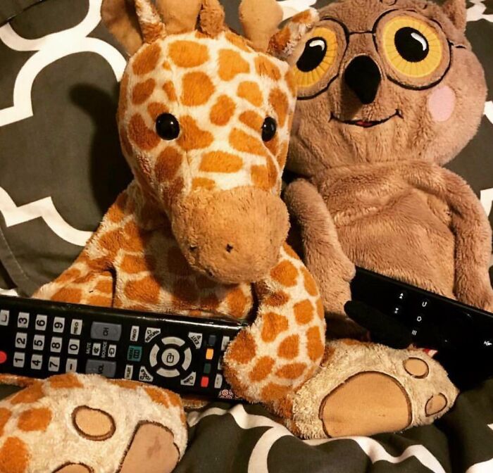 Stuffed giraffe and owl holding TV remotes, illustrating parenting tricks for entertaining children.