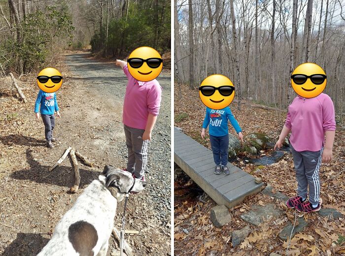 Children practicing parenting genius tricks outdoors, exploring nature trails with a dog.