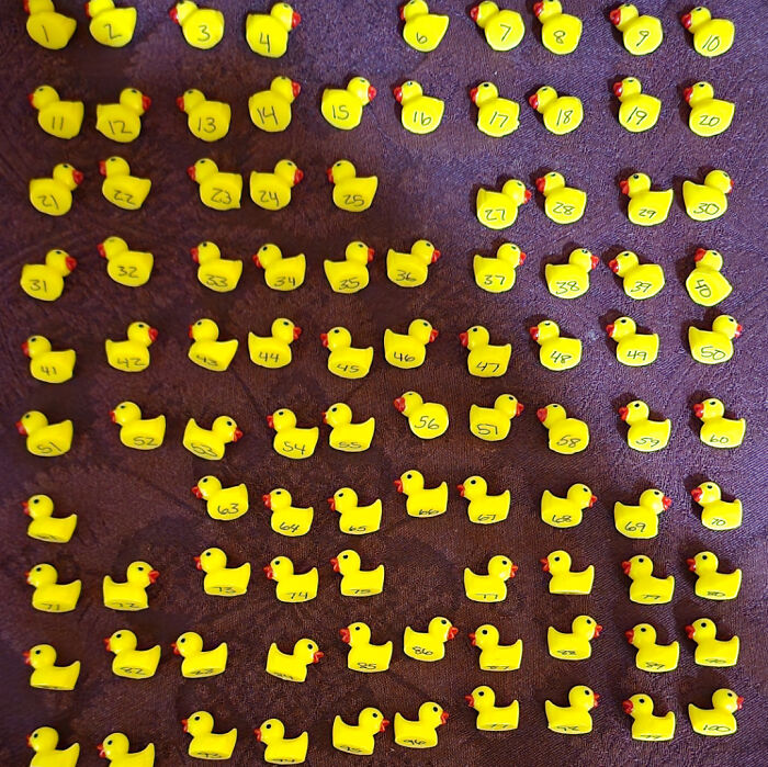 On Christmas, My Step Sister Hid 100 Ducks In My House. 96 Have Been Found