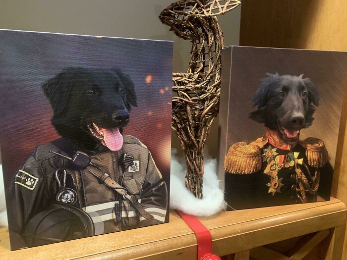 Portraits of dogs in military uniforms with Christmas decor in the background, embodying wholesome Christmas vibe.