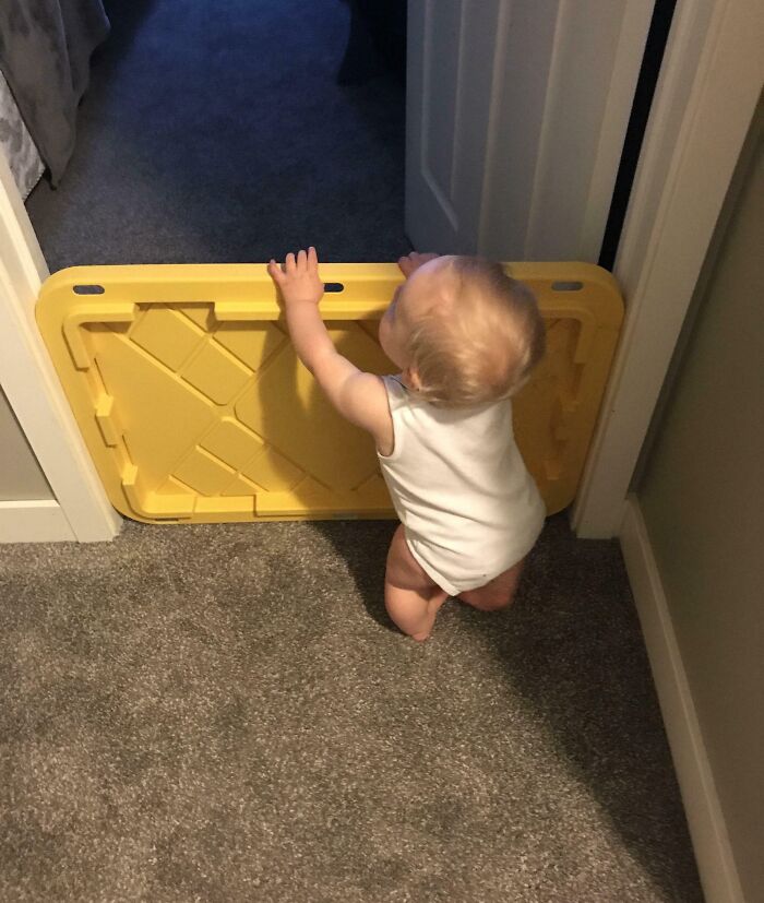 Toddler using a yellow plastic bin lid as a makeshift baby gate in a hallway.