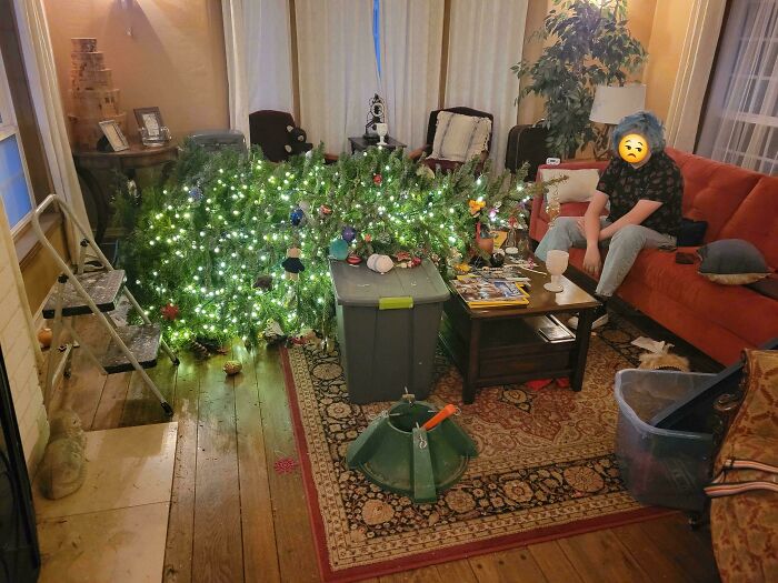 Christmas accident with a fallen tree and a person on the couch in a living room decorated for the holiday.