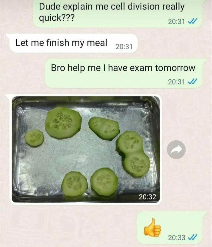 A funny science meme with cucumber slices humorously representing cell division during a text conversation.