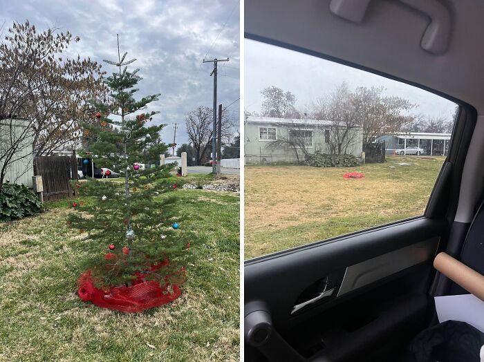 Christmas accident scene with fallen tree seen from car window on cloudy day.