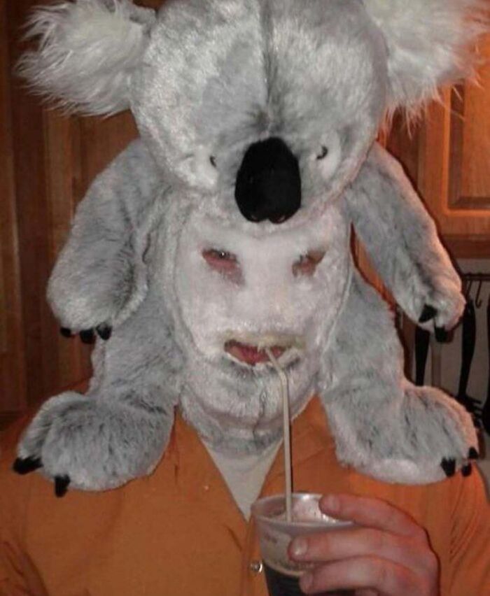 Person wearing a koala head costume, sipping drink, embodying cursed images vibe.