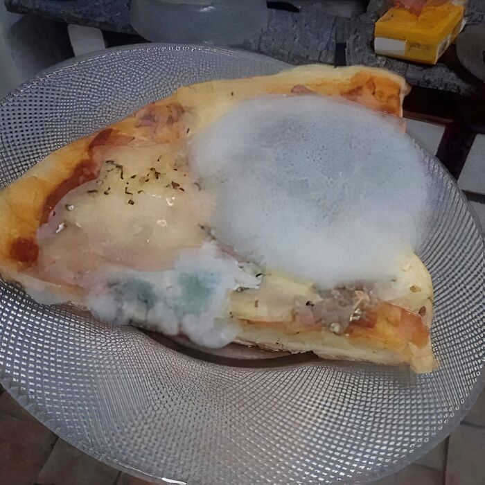 Moldy pizza slice on a clear plate, showcasing a cursed image.