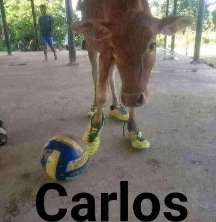 A cow wearing green sneakers stands near a volleyball on a sheltered patio; a child is visible in the background.