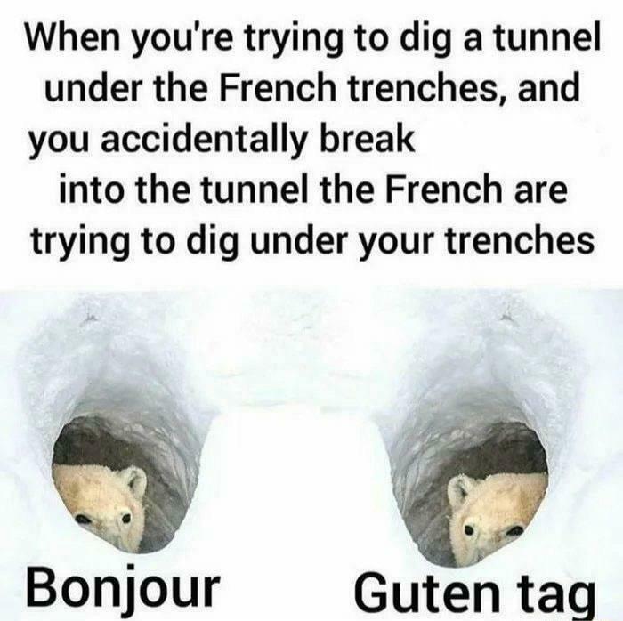 Meme humorously depicts a historical trench encounter with two animals in tunnels saying "Bonjour" and "Guten tag".