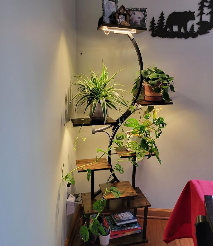 Modern plant stand with books, framed photos, and vibrant greenery.