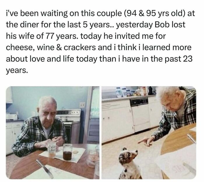 Elderly man at a table sharing wholesome kindness with cheese and wine; interacting with a small dog in a cozy kitchen.