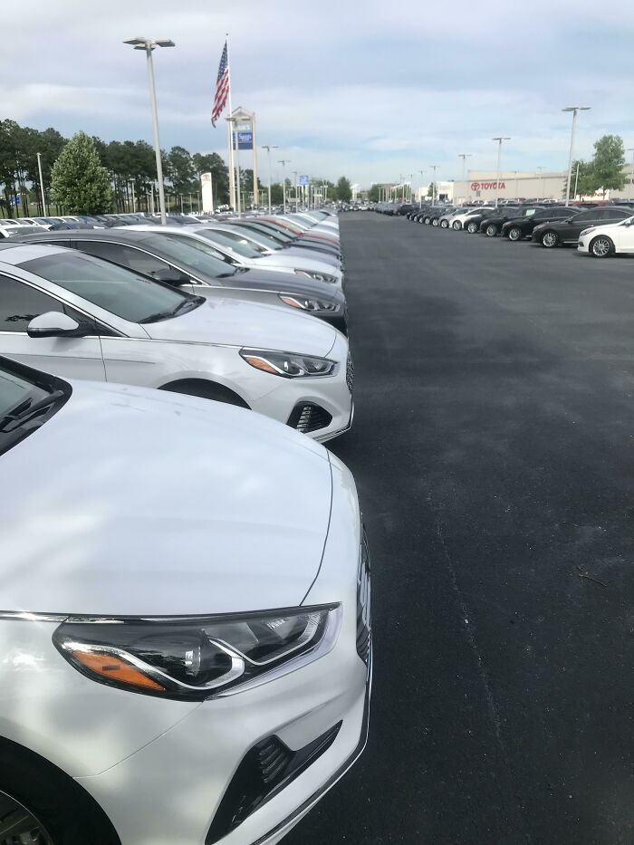 Row of perfectly aligned white cars in a parking lot, showcasing a satisfying-perfect-fit arrangement.