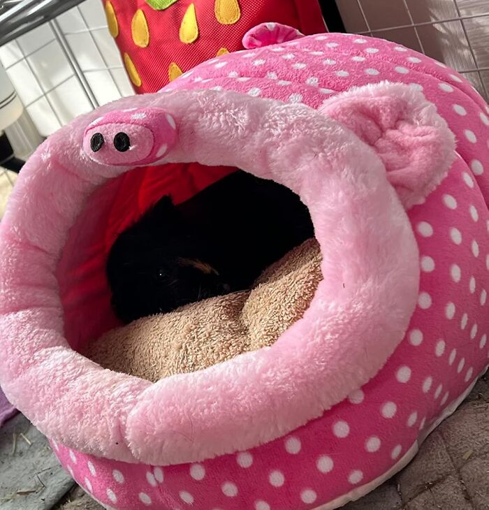 Pet cozy in a pink polka dot bed helping get in the holiday spirit.