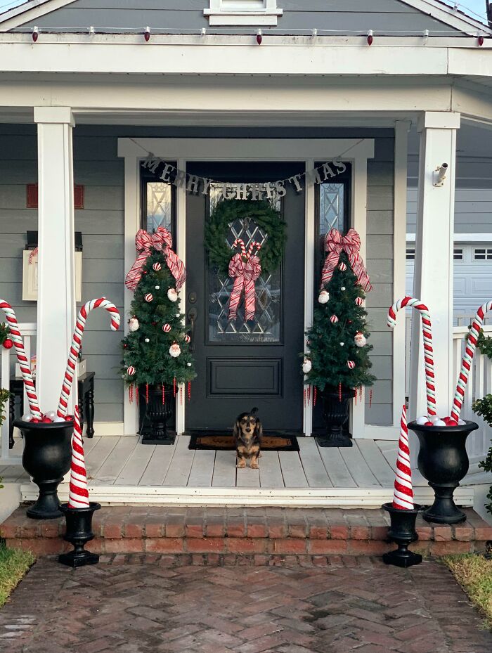 Festive Christmas decorating ideas with candy canes, wreath, and trees adorning a cozy front porch with a small dog.