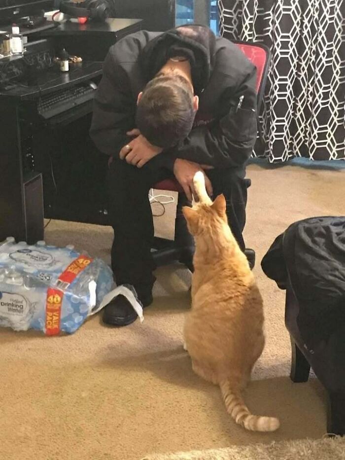 Man sitting with head down, comforted by a ginger cat touching his knee; a touching blessed image moment.