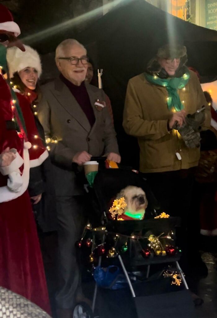 People gathered around a festive dog stroller, surrounded by Christmas lights and decorations.