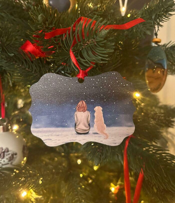 Wholesome Christmas ornament of a person and dog looking at stars, hanging on a festive tree with red ribbons.