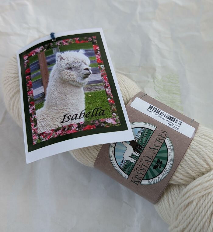 Alpaca yarn labeled "Isabella" with alpaca image, perfect for wholesome Christmas gifts.