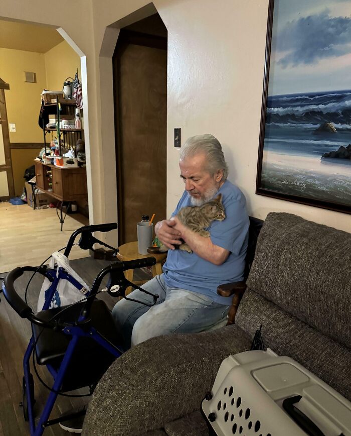 Elderly man in a living room, lovingly holding a cat, creating a wholesome-Christmas-posts vibe.