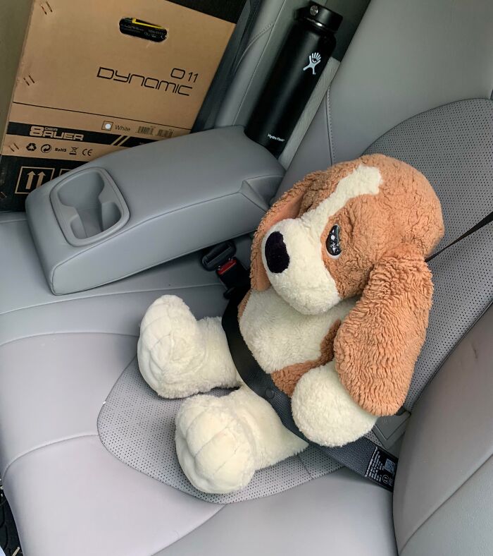 Stuffed dog buckled in a car seat, featuring Christmas-themed wholesomeness and cozy vibes.