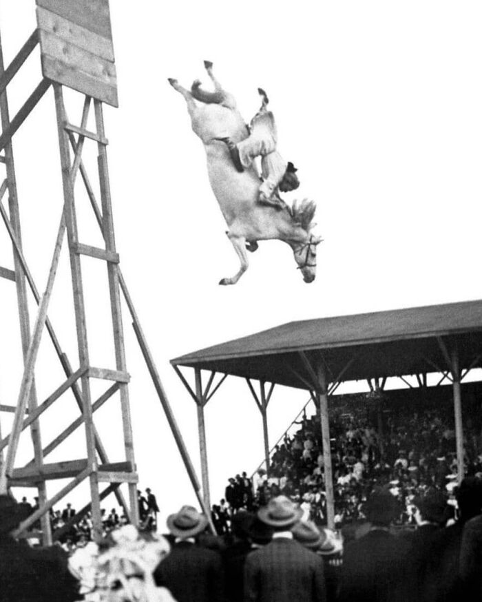 Historical photo of a diving horse with a rider at a crowded event, illustrating past spectacles.