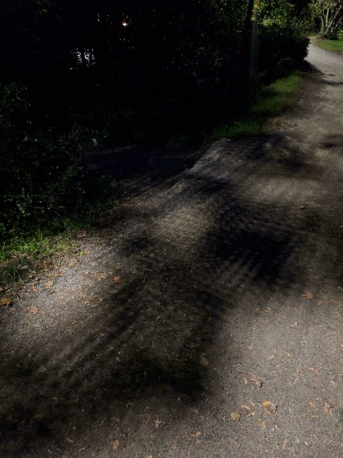 Shadow patterns on a gravel path under trees, resembling a poor-quality render from a real-life scene.