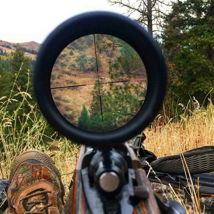 View through a rifle scope in nature, resembling a videogame scene with boots and foliage in the foreground.