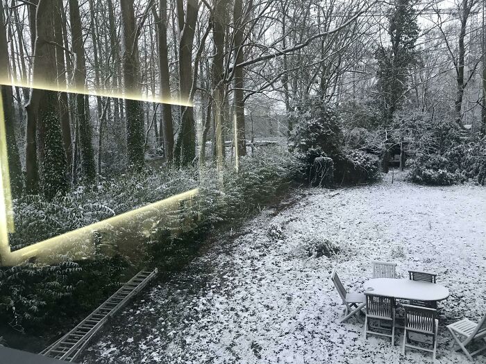 Snow-covered backyard with trees, glowing reflections evoke videogame-like scenery.