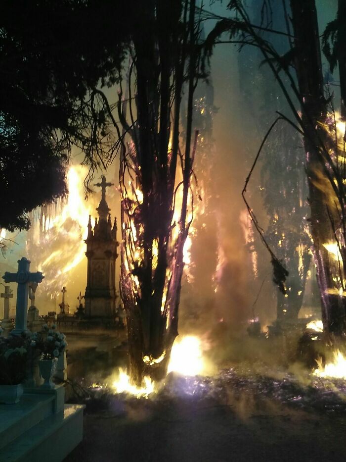 Flaming trees in a graveyard at night, resembling a dramatic videogame scene.