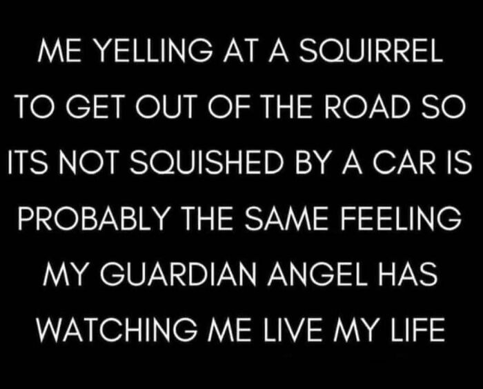 Text meme about yelling at a squirrel, highlighting a relatable and funny scenario.