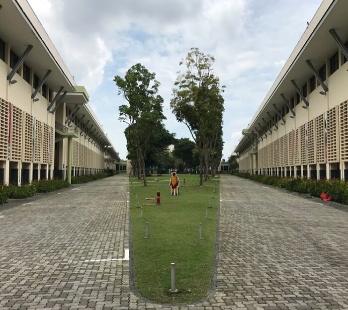 Symmetrical walkway with trees between two identical buildings, resembling a bad render.