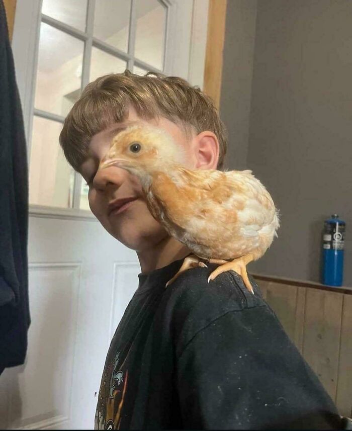 Chicken Boy