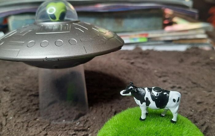 Toy UFO and cow figurine on dirt and grass, showcasing a whimsical scene.