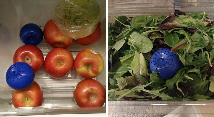 Fresh produce in a fridge with blue ethylene absorbers, featuring apples and mixed greens.