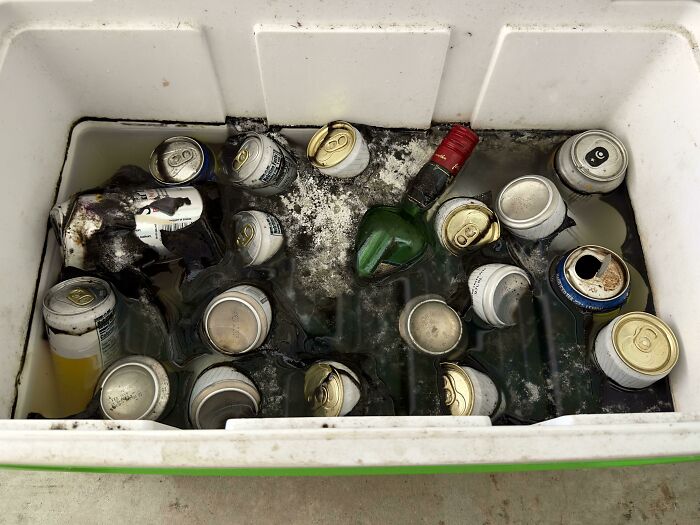 Cooler filled with melted ice, beer cans, and a wine bottle, illustrating horrible roommates' messy habits.