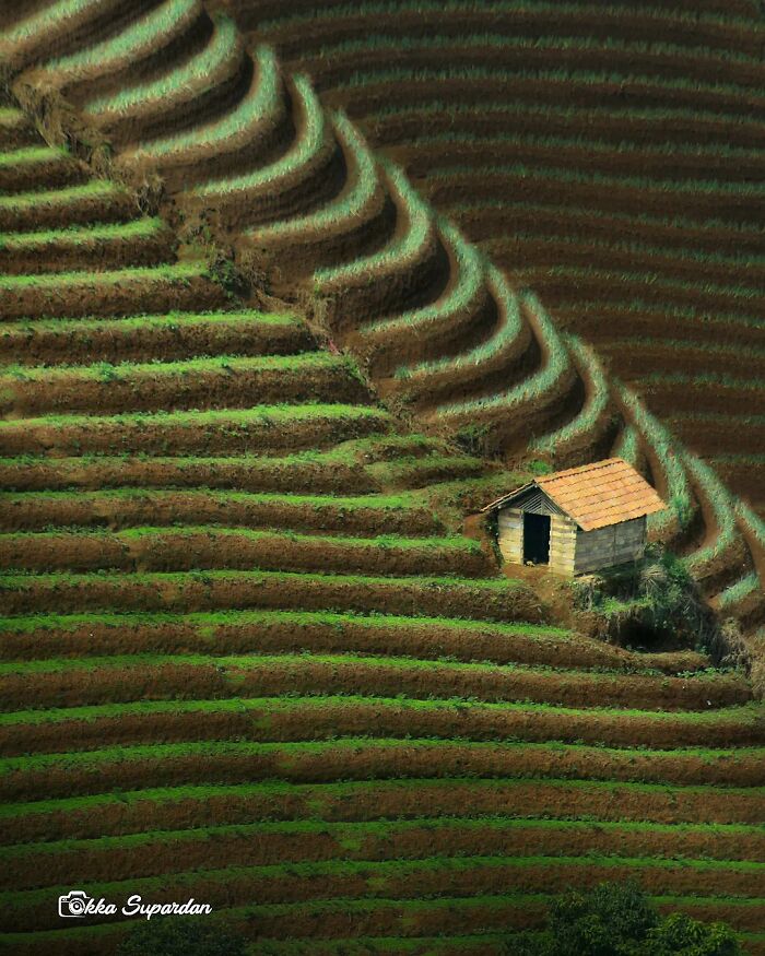 34 Vibrant And Authentic Photos Of Indonesia’s Daily Life Captured By A Local Photographer