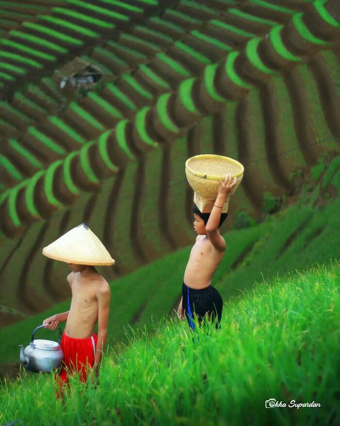 34 Vibrant And Authentic Photos Of Indonesia’s Daily Life Captured By A Local Photographer